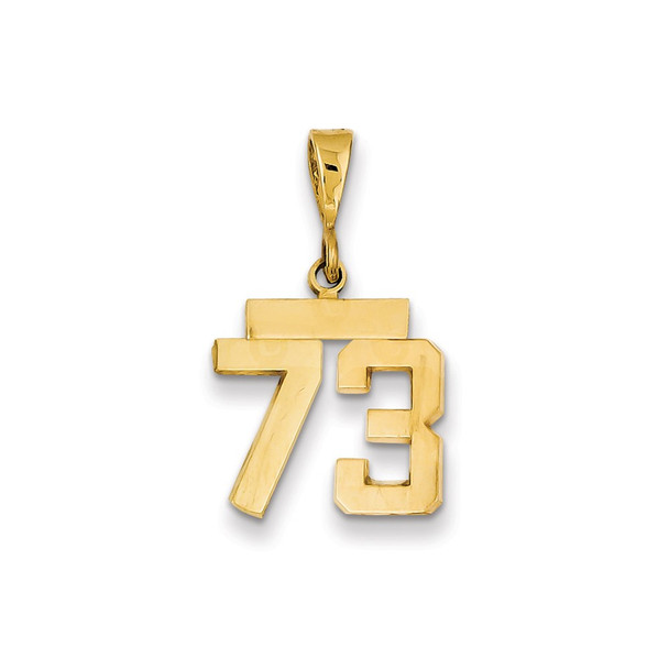 14k Yellow Gold Small Polished Number 73 Charm SP73
