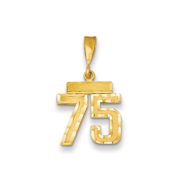 14k Yellow Gold Small Diamond-Cut Number 75 Charm