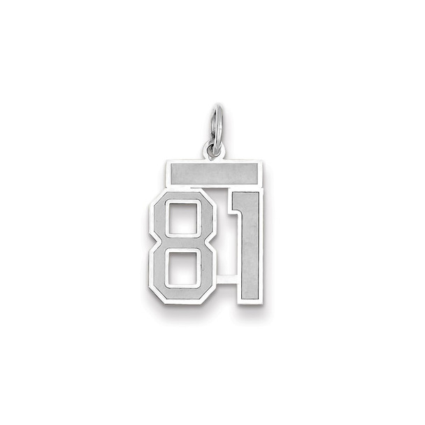 14k White Gold Small Satin Number 81 Charm