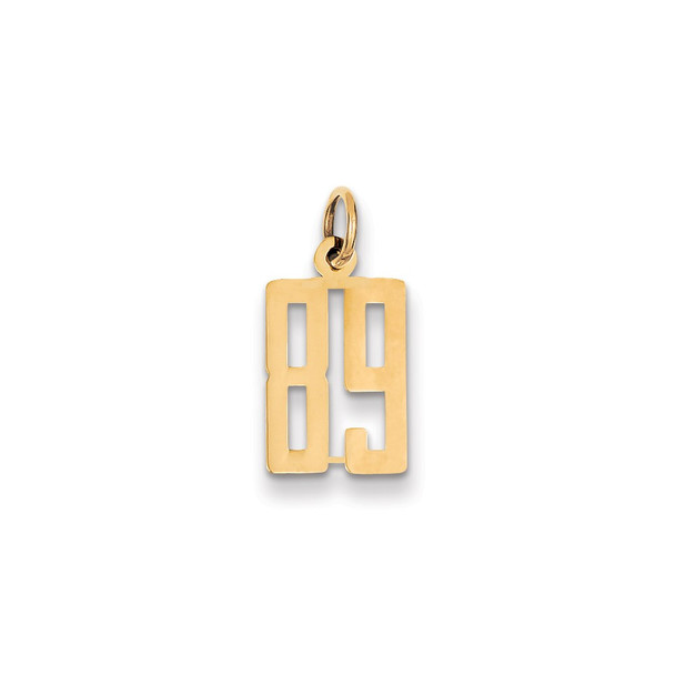 14k Yellow Gold Small Polished Elongated 89 Charm