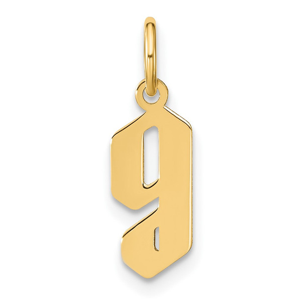 14k Yellow Gold Lowercase Letter G Initial Charm XNA1383Y/G