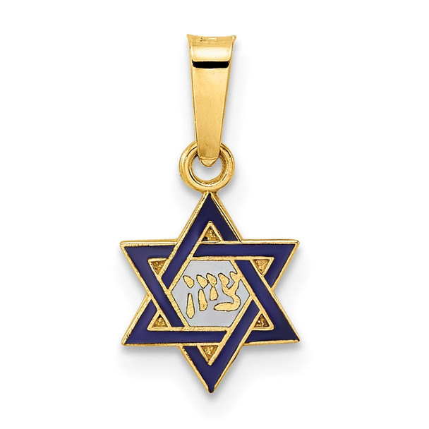 14k Yellow Gold Polished and Enameled Solid Star of David Pendant XR1971