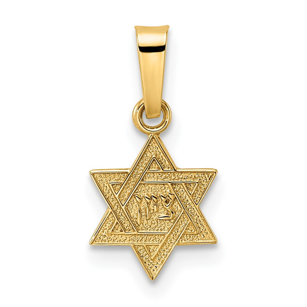 14k Yellow Gold Polished & Textured Solid Star of David Pendant