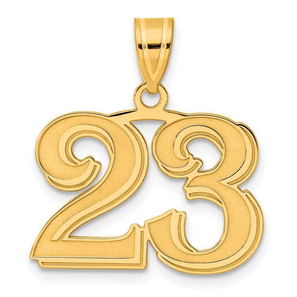 14k Yellow Gold Polished Etched Number 23 Pendant