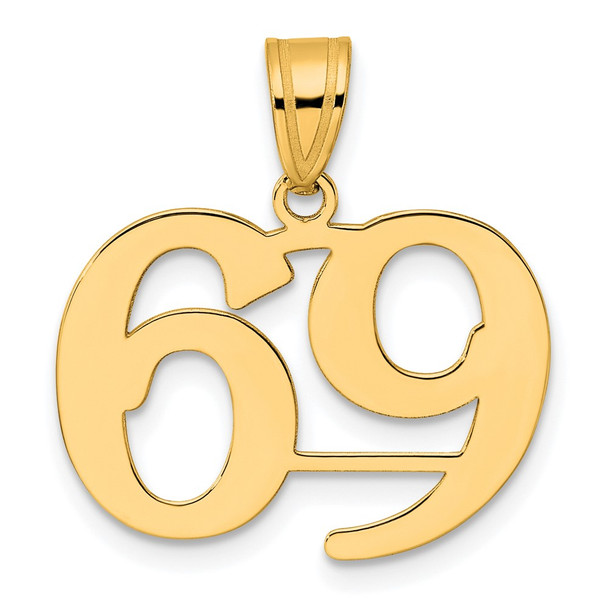 14k Yellow Gold Polished Number 69 Pendant
