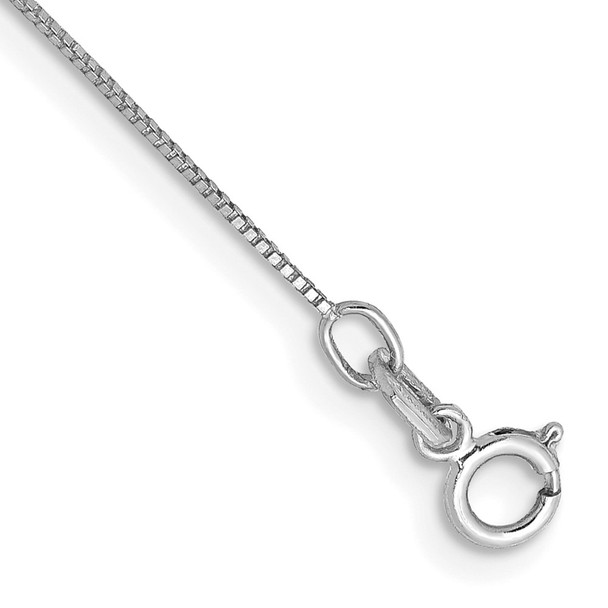 10" 14K White Gold .5mm Box with Lobster Clasp Anklet