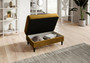 Durham Convertible Sofa & Pouf with Storage L45