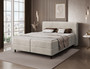 Elegant Spring Box Bed with Storage ML01