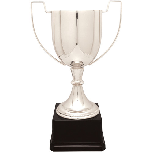 Small Zinc Trophy on Black Plastic Base