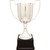 Medium Zinc Trophy on Black Plastic Base
