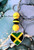 Jamaica heart Keychain #
