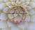14k gold OCTOBER stardust bracelet kids.