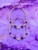 14k gold ANY COLOR birthstone earrings #3