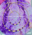 14k Gold 2pc ANY COLOR birthstone set #3b