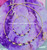 14k Gold 2pc February birthstone set #3b