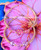 14k gold 2PC bangle MIX SET #1