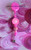 Breast Cancer Beadable badge #13