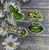 4pc SMOKE planar resin set #1