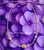 14k gold Clear Crystal & tube necklace #3
