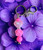 Kitty silicone Keychain #11
