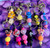 Assorted silicone Keychains #2