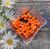 Kitty orange bow planar resins #7