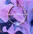 14k gold Clear Rose bracelet