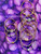 NOT FOR SALE RANDOM #154