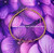 14k Gold ANY COLOR bracelet #6