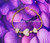 14k gold Tri heart pave bracelet #2a