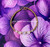 14k gold Any color cat eye bracelet kids #2