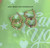 14k gold XXS ANY COLOR hoop earrings