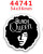 Black Queen planar earrings #1