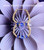 14k gold Medium september earrings