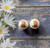 20mm Dr seuss print acrylic beads