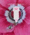 Needle Shot pink planar badge reel #2.