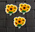 Sunflower planar resin