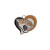 Jaguar heart metal charm