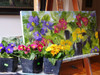 primrose in pots and the painting