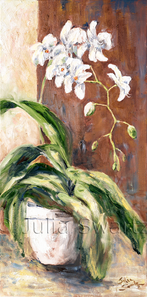 Phalaenopsis Flower Oil Painting