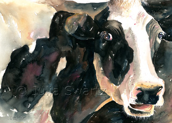 A watercolor painting of a Black & White Holstein cow by Julia Swartz