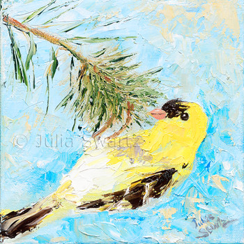 An impressionistic close up oil painting of a Goldfinch by Julia Swartz Lancaster PA