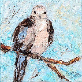 An impressionistic close up oil painting of a Mourning Dove by Julia Swartz Lancaster PA