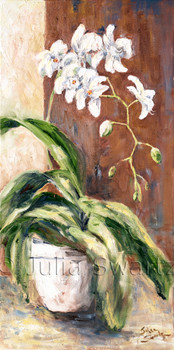 An oil painting of a white Phalaenopsis orchid by Julia Swartz lancaster PA
