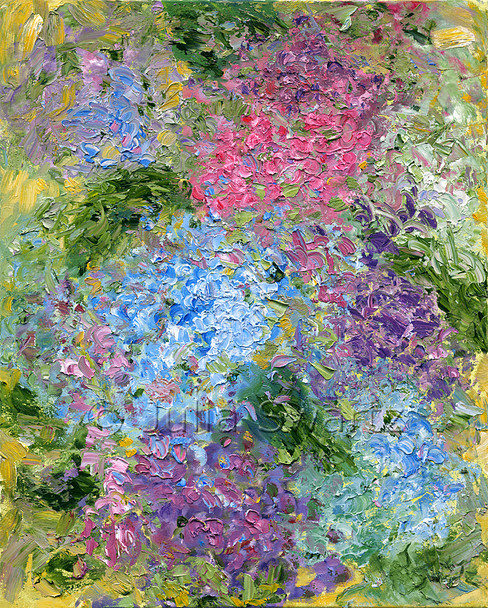 An impressionistic oil painting of Hydrangeas, version III, by Julia Swartz, Lancaster PA.