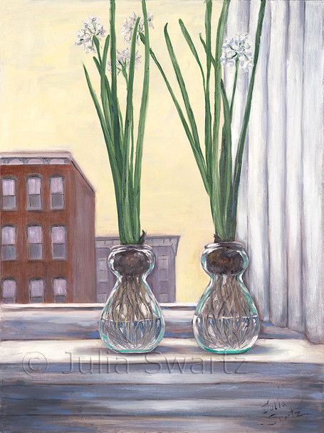 Two paper White bulbs blooming in glass vases in a second floor window against the Lancaster city skyline. Painted by Julia Swartz.