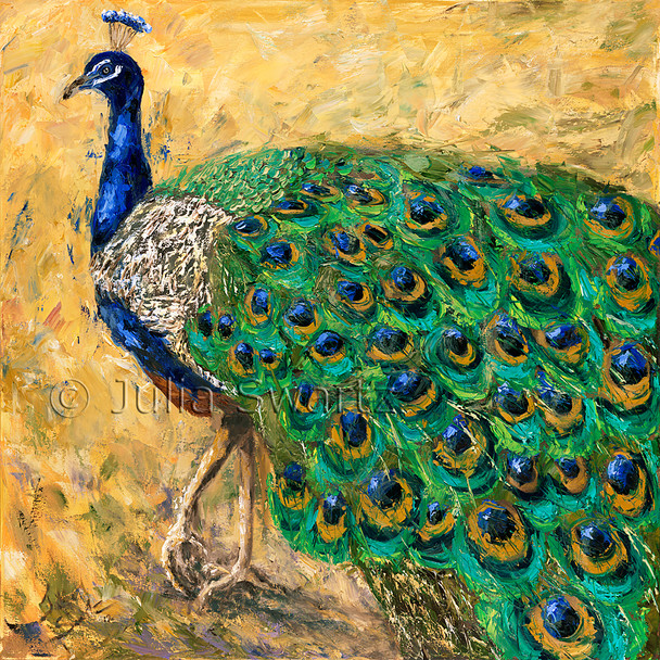 Peacock Strut Oil Painting