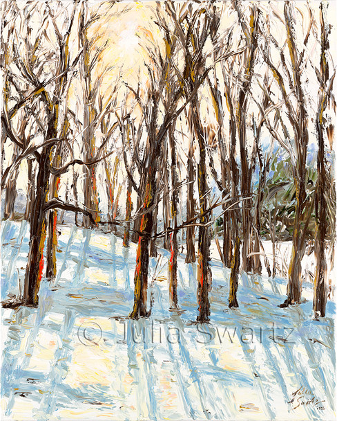 In this oil painting Julia has been able to capture the way the sun penetrates through the trees in the early winter mornings as she looks out her back window.