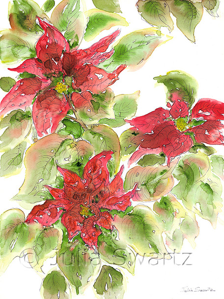 A watercolor painting on canvas of three Poinsettias by artist Julia Swartz.