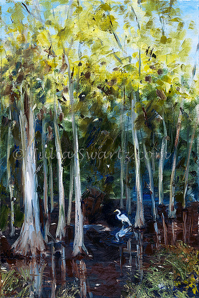 Note card of Cypress trees in the south Florida Everglades from a painting by Julia Swartz
